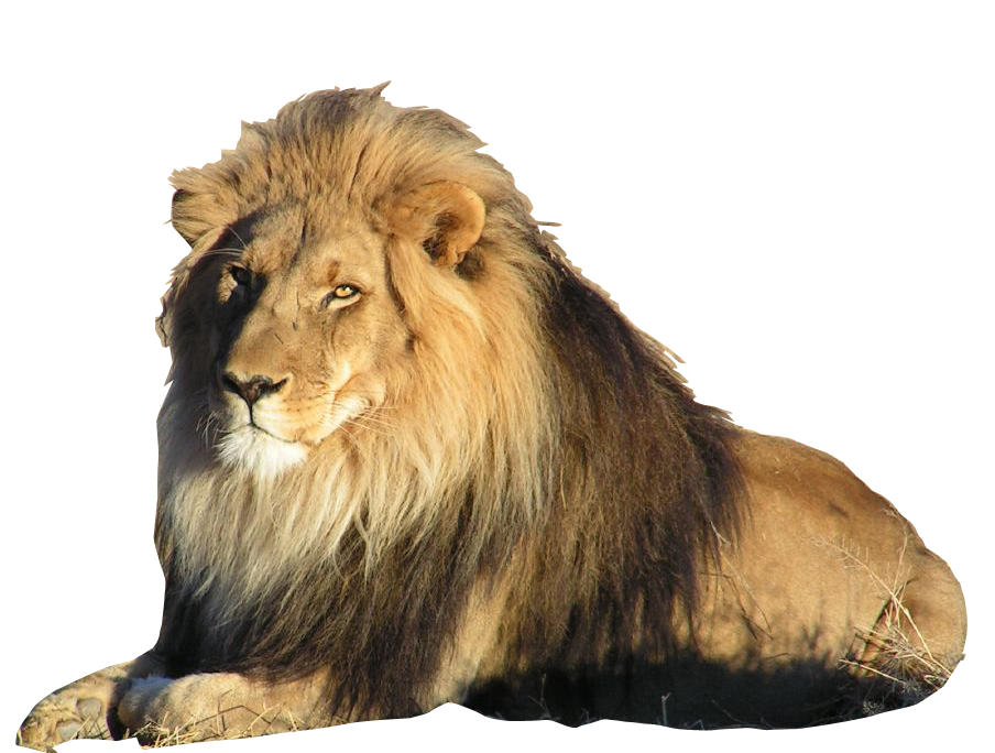 Aslan.png