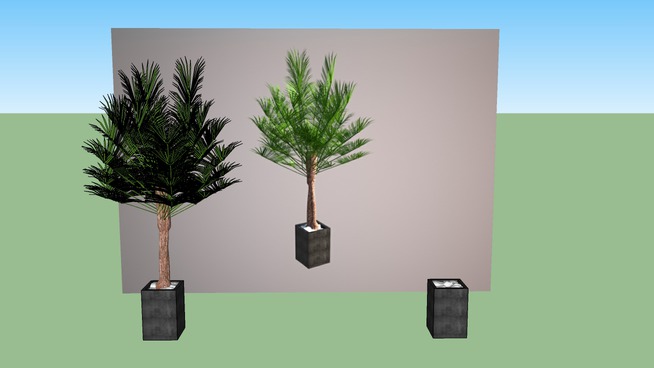 CAY DECOR - 123.jpg