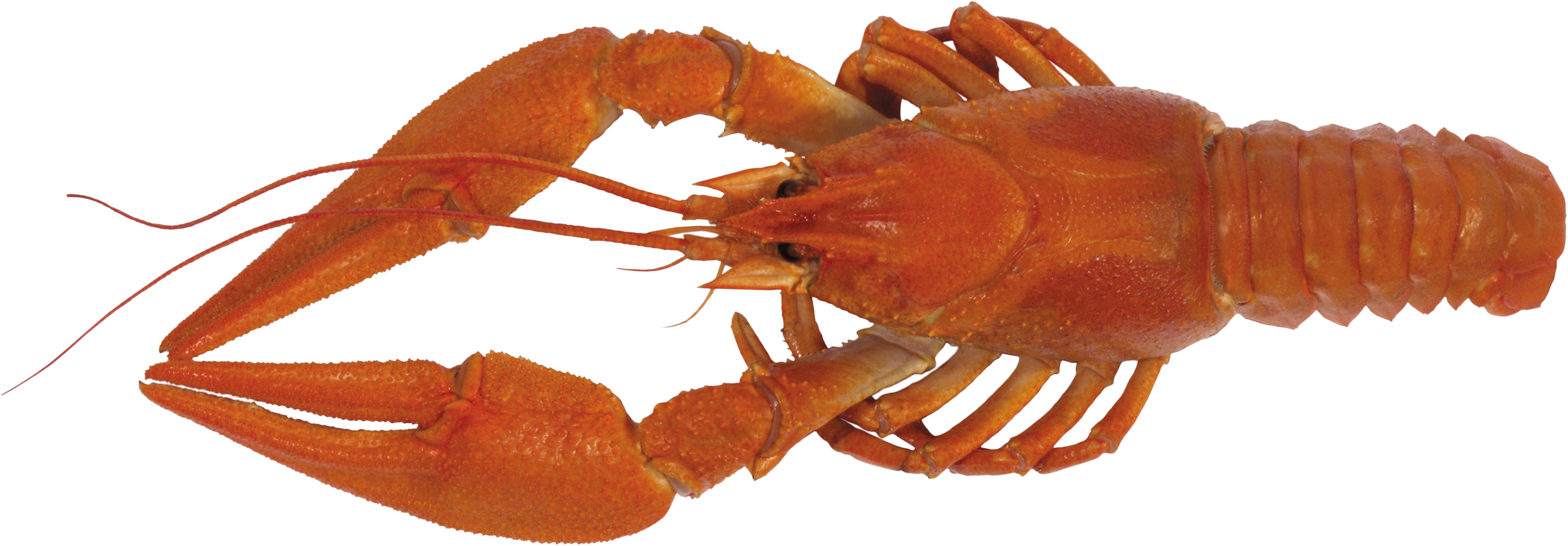 0_84824_af468aa4_orig.png