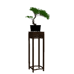 BONSAI 01 (19).skp