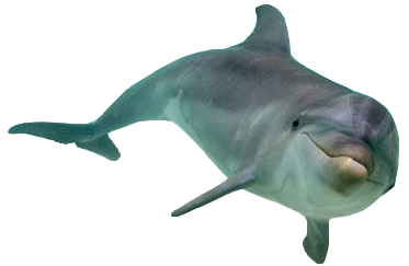 tumblr_mfo804fUcf1qha2teo1_400.png