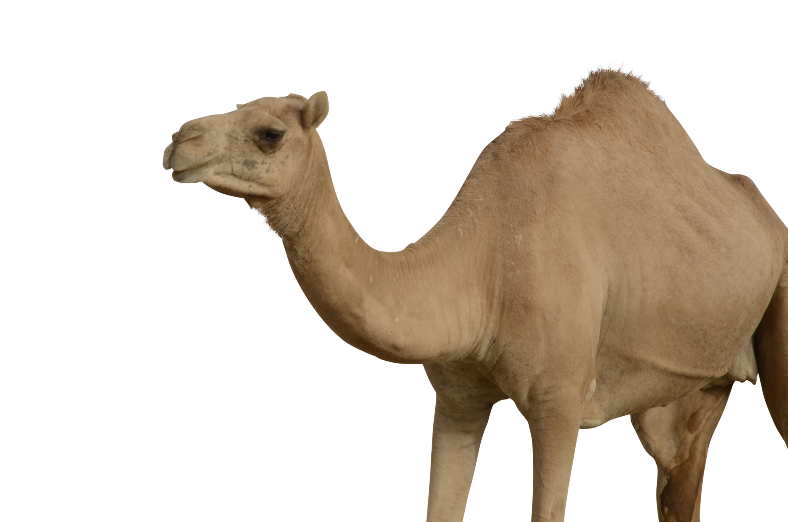 034.png