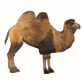 030.png