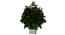 Cay Tong Hop - 1785.skp