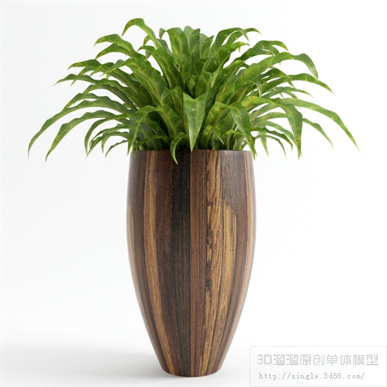 CAY DECOR - 05.jpg