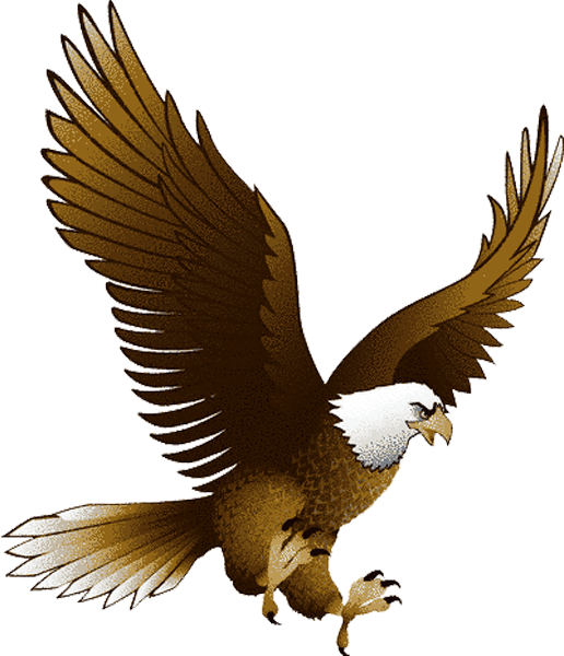 eagle_PNG1217.png