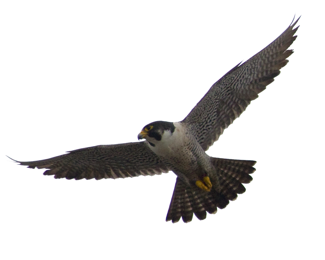 image01.png
