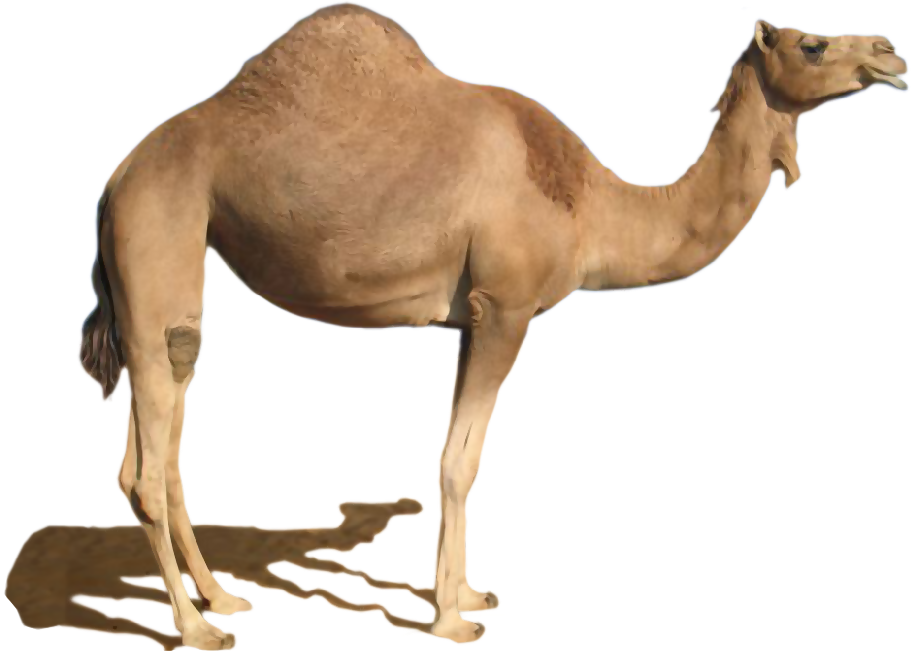 012.png