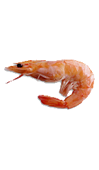 Argentijns-garnaal.png