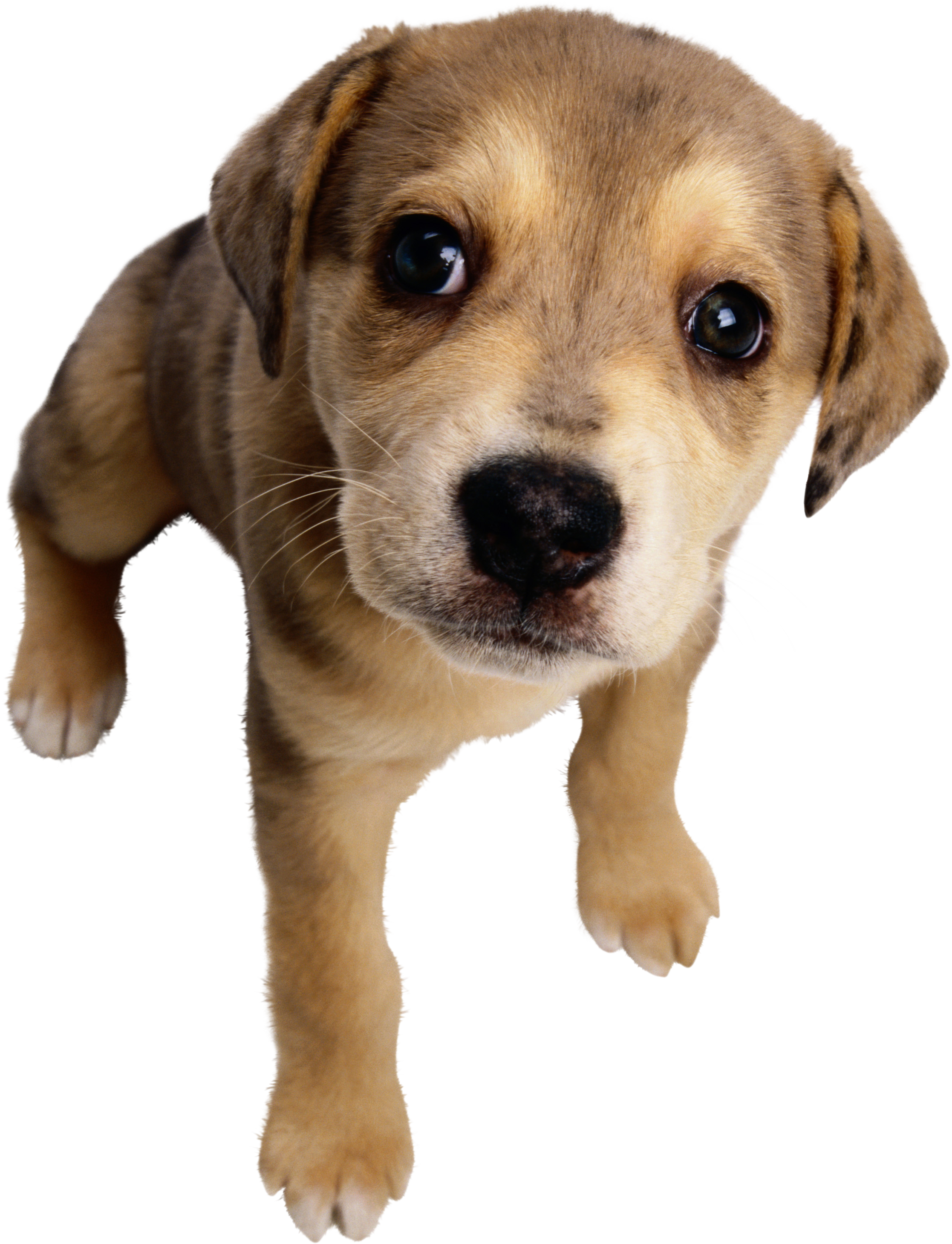 0_12c532_88b1bfa8_orig.png