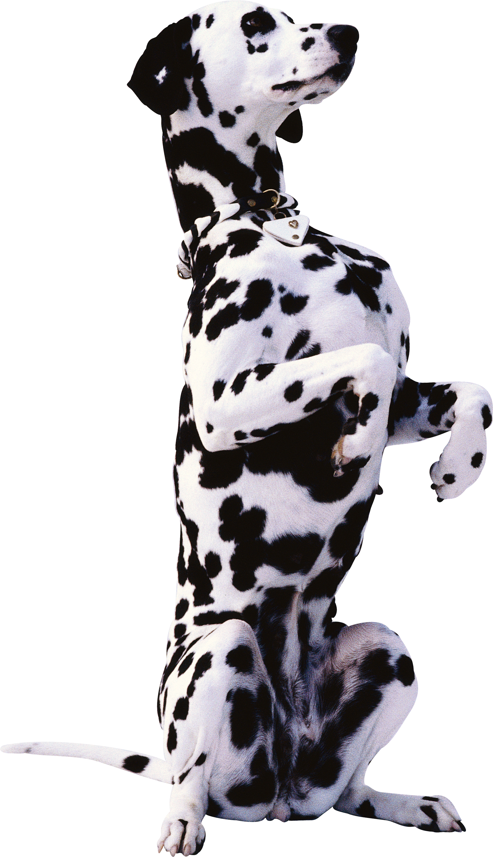 0_16f4b8_b5adf5af_orig.png