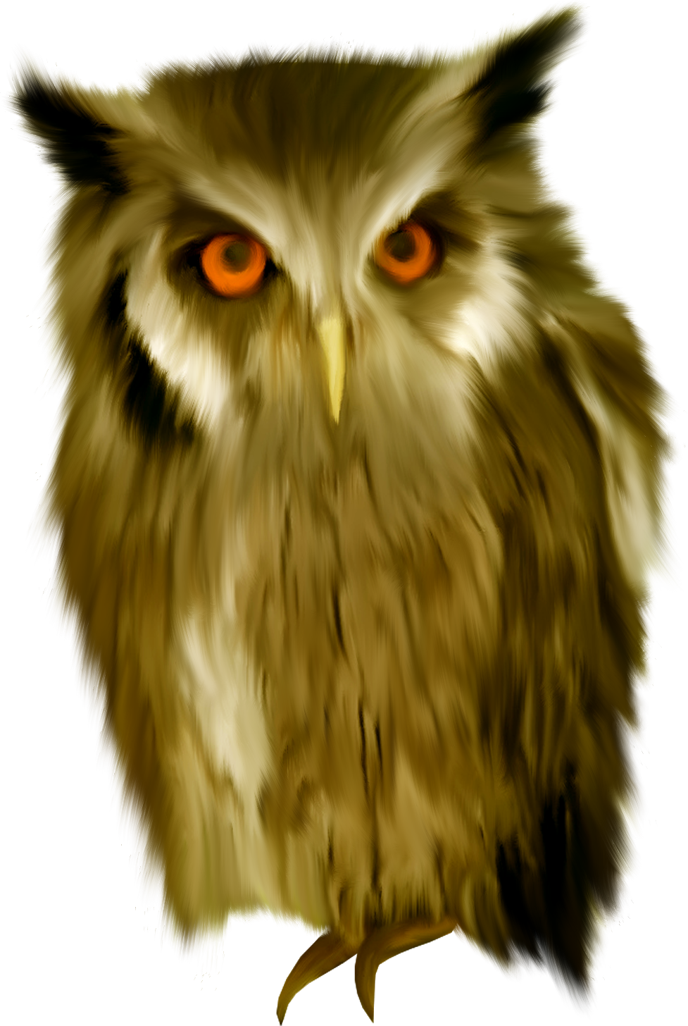 0_8c07b_b6d1355_orig.png
