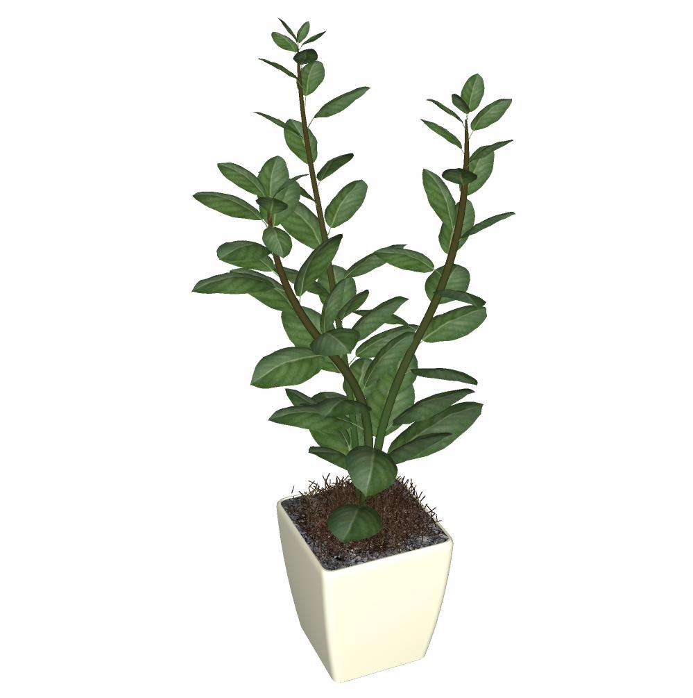CAY DECOR - 03.jpg