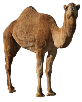 042.png
