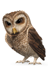 Old-Brown_listing_character.png