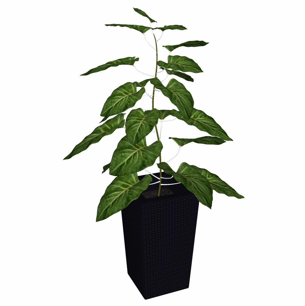 CAY DECOR - 02.jpg