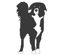 2D_Animal_Dog_Aiko.png