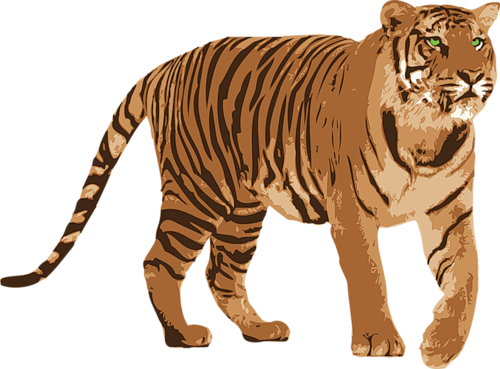 tiger_PNG1382279011.png