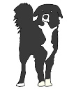 2D_Animal_Dog_Aiko.png
