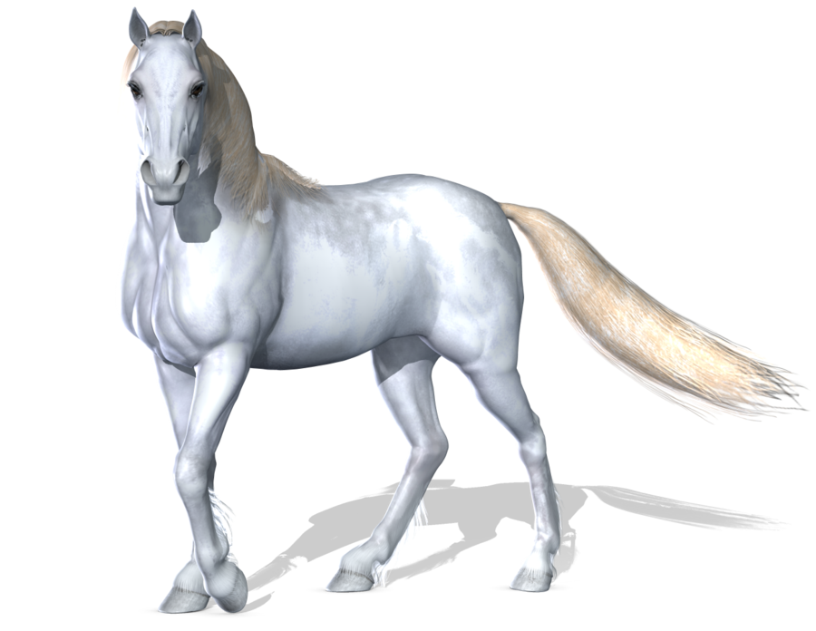 horse_PNG2538.png