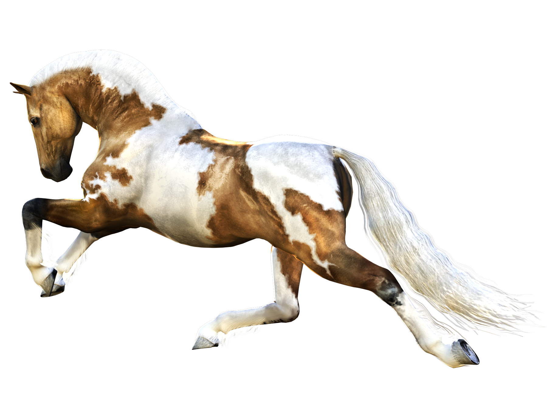 horse_PNG2521.png