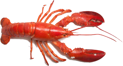 lobster.png