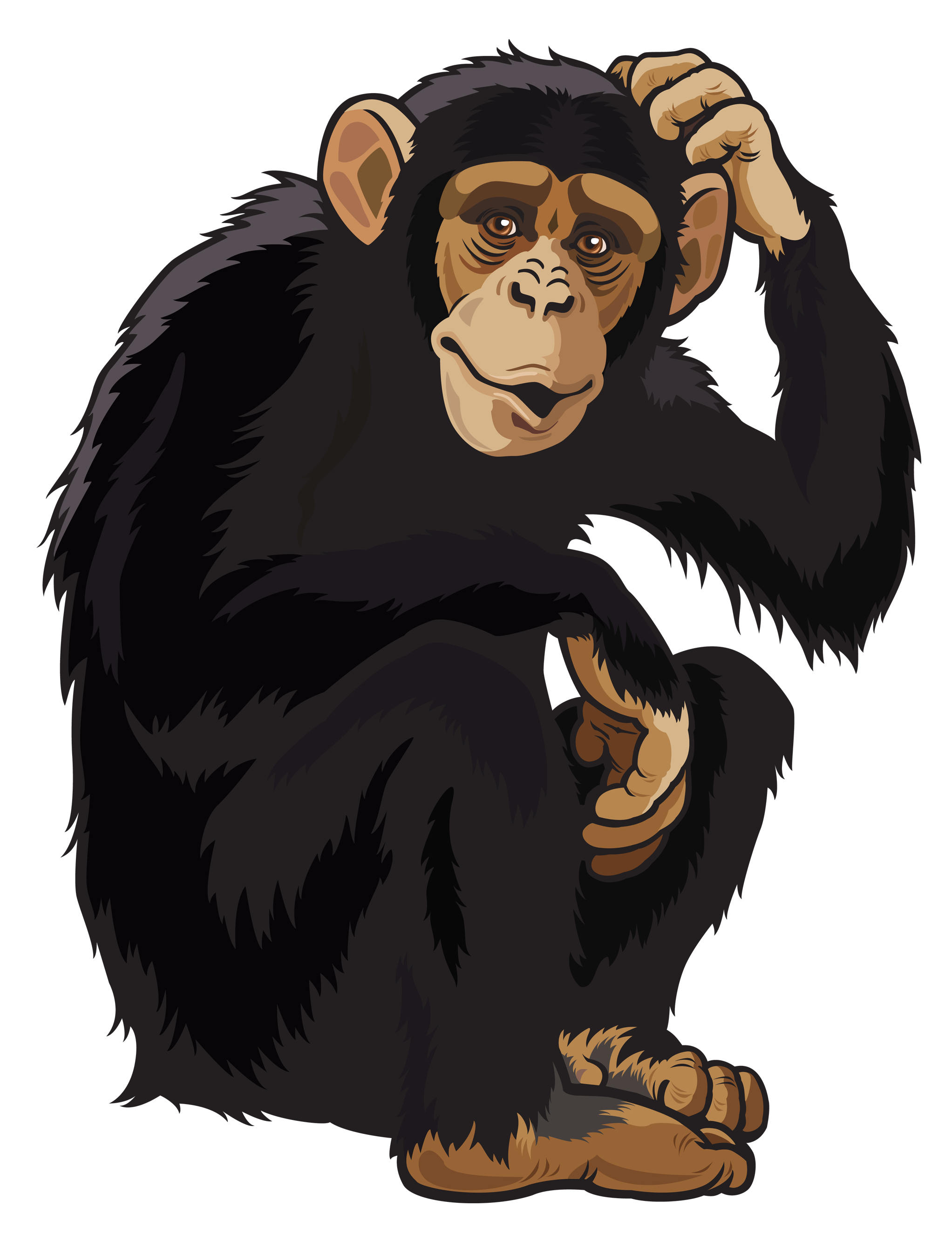 Monkey_PNG_Clipart_Image.png