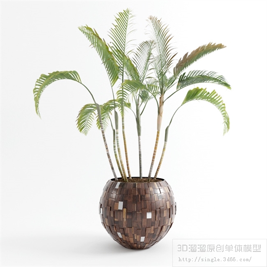 CAY DECOR - 07.jpg
