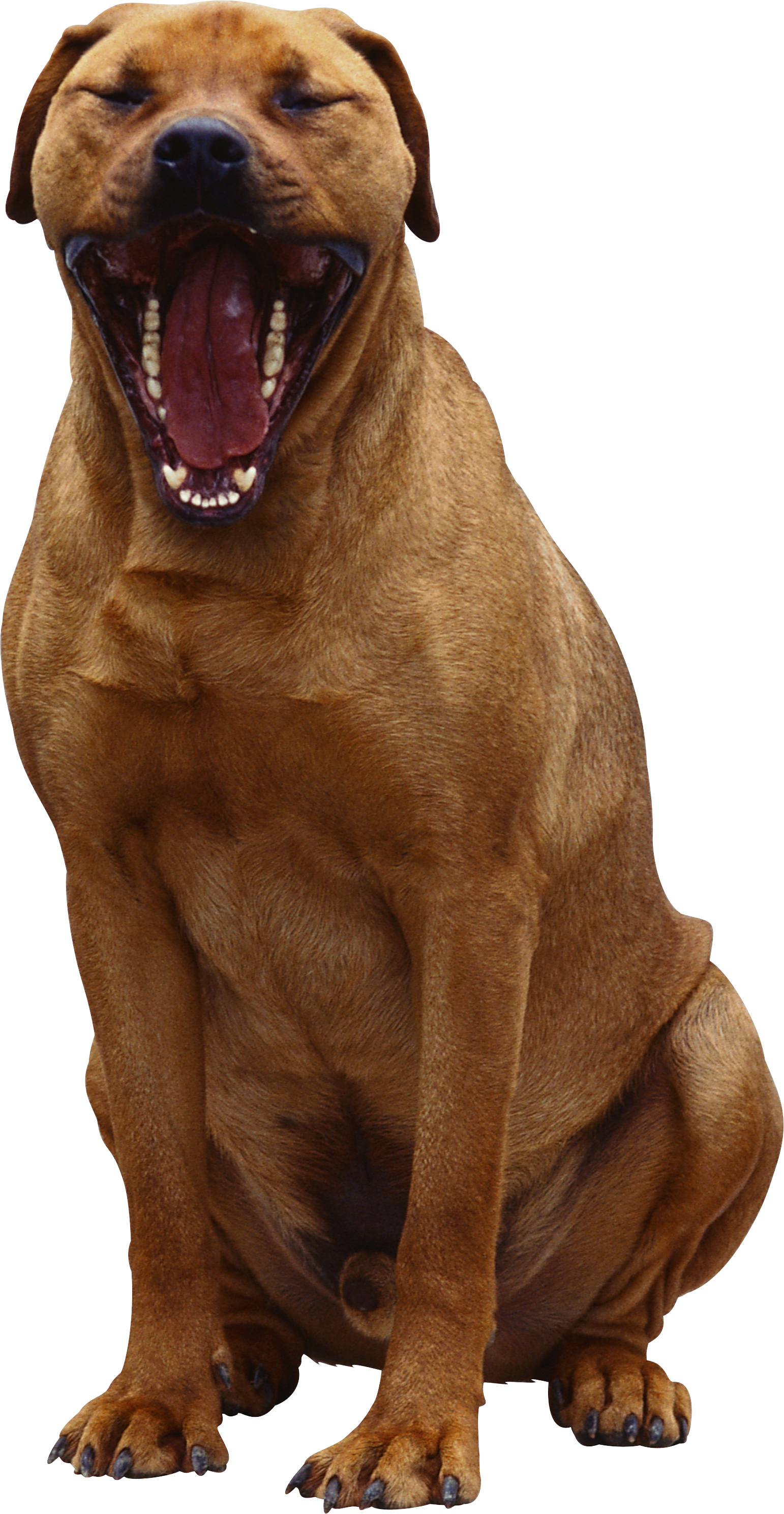 0_16f78d_43953a35_orig.png
