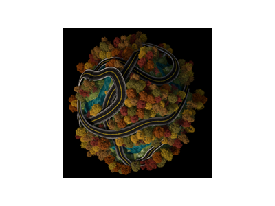 CAUL_Flowify(1.1.0).rbz