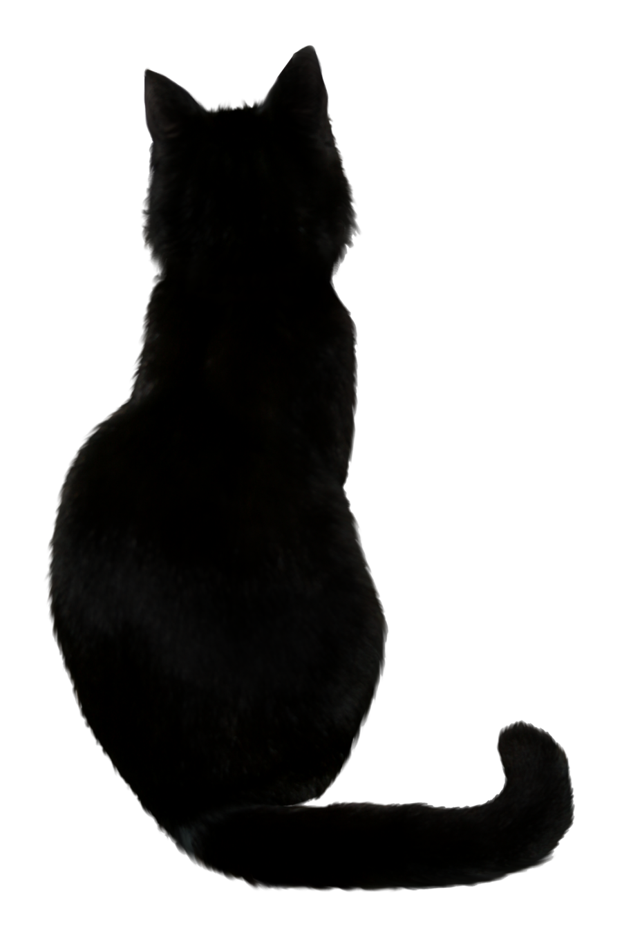 0137.png