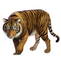Huge_item_blind_tiger_01.png