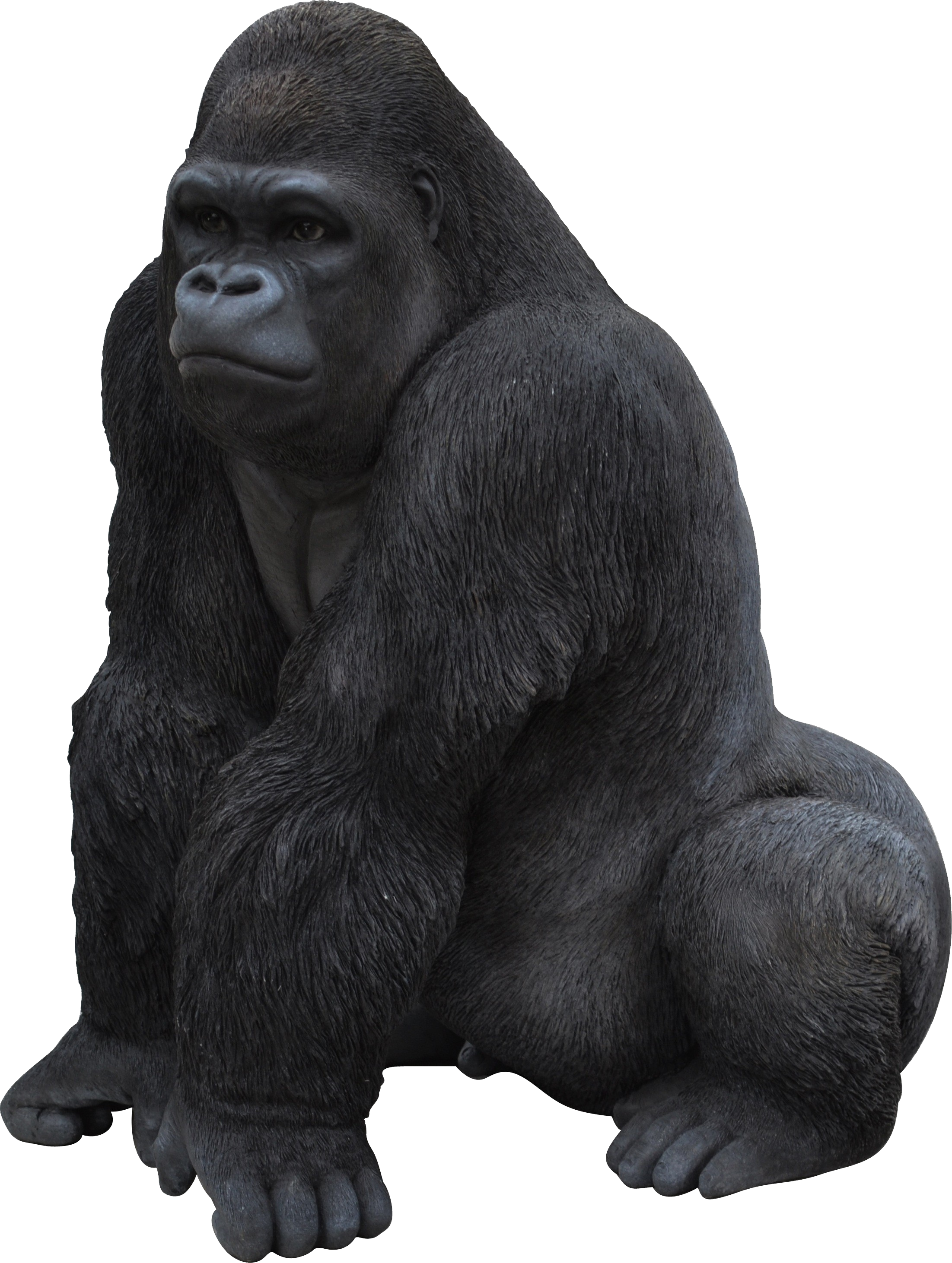 Gorilla-PNG01.png