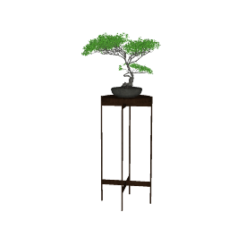 BONSAI 01 (17).skp