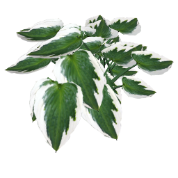 Cay Tong Hop - 1065.skp
