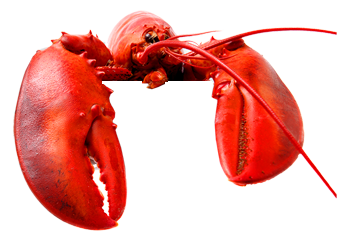 lobster_pot.png
