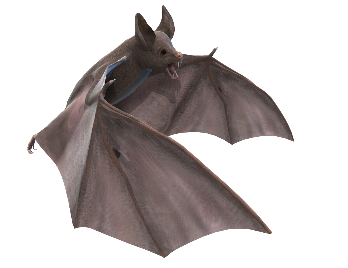 020.png