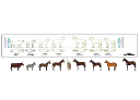 The Roman Empire - Army Animals.png