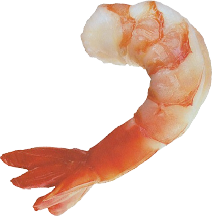 Shrimp2.png