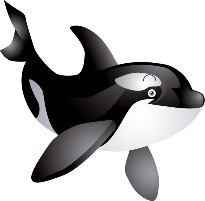 102191902_1.png