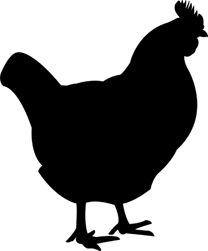 chicken_PNG2158.png