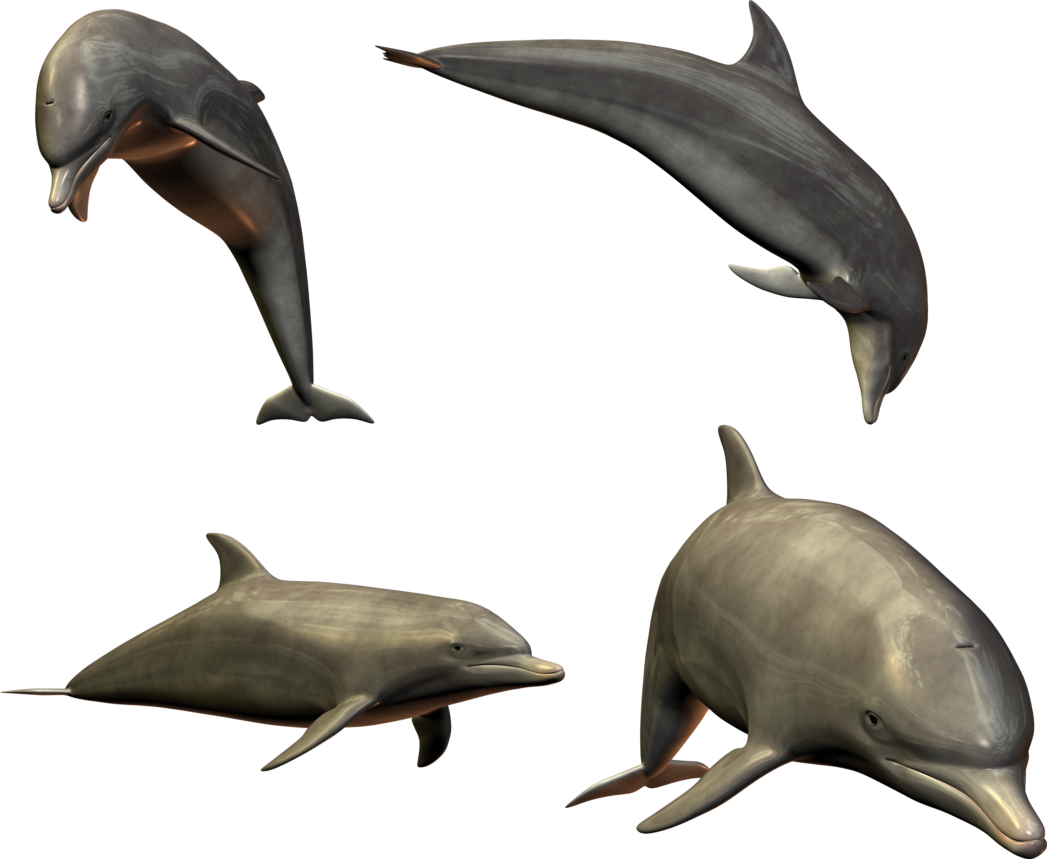 0_85291_3a5156a6_orig.png