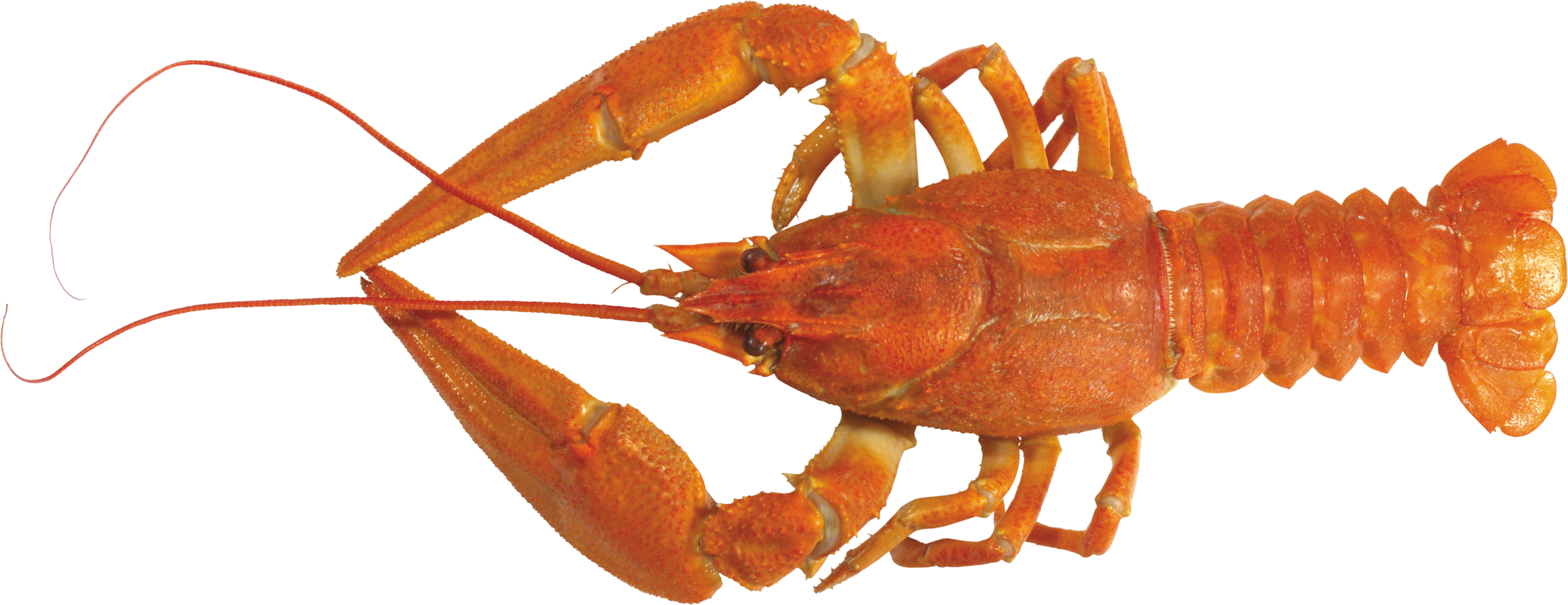 0_8481c_b0ae775c_orig.png