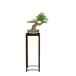 BONSAI 01 (9).skp