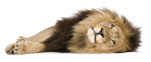 ce1a15_0d4640ee03ac49b29ba59a9b1b5963e2-mv2.png_srz_544_179_85_.png