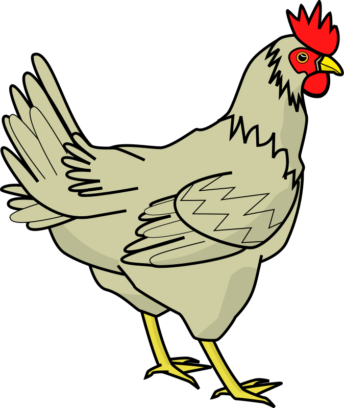 chicken_PNG2169.png