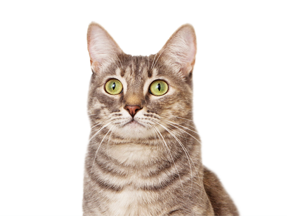 0125.png