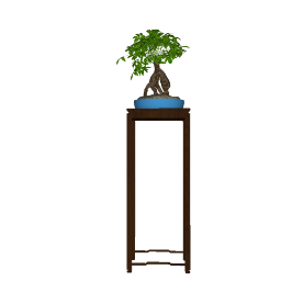 BONSAI 01 (5).skp