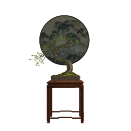 BONSAI 01 (2).skp