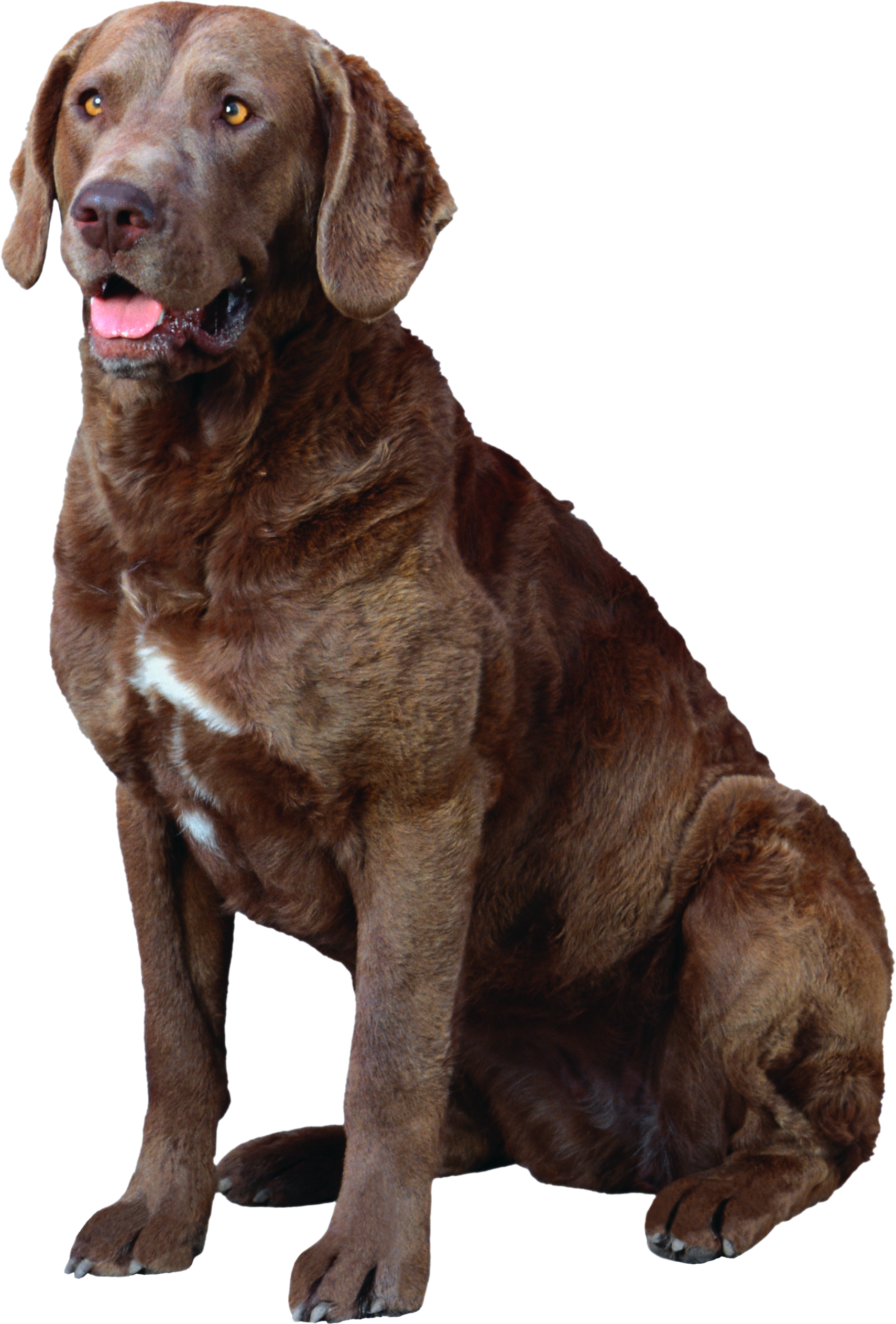 0_14d786_578cf0f4_orig.png